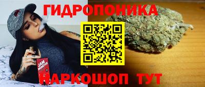 ECSTASY Ливны