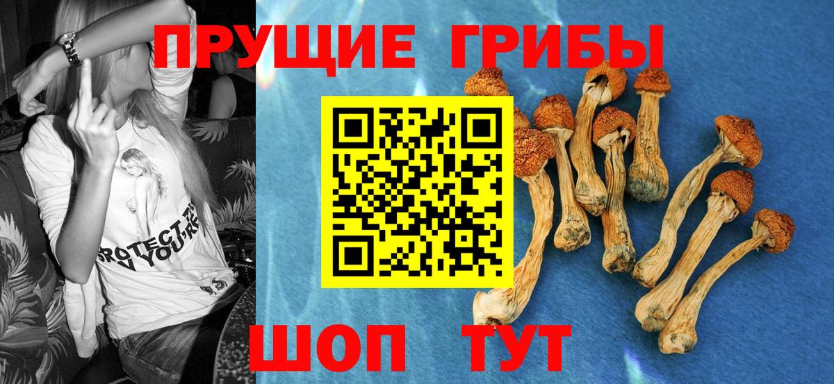 Галлюциногенные грибы GOLDEN TEACHER  Псилоцибиновые грибы мицелий  хочу   Димитровград  Вход с VPN 
