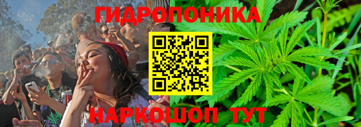 Шишки марихуана конопля Димитровград